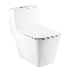 C103237 Bồn cầu 1 khối nắp đóng êm Simply Modish