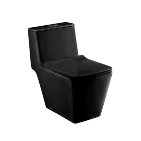 C10323MBK Bồn cầu 1 khối nắp đóng êm Simply Modish