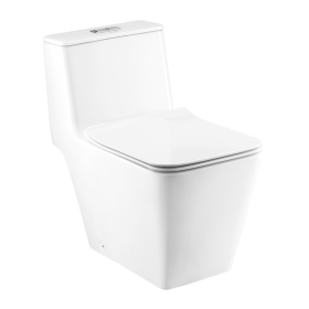 C10327 Bồn cầu 1 khối nắp đóng êm Simply Modish