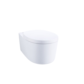 C19667 Bồn cầu treo tường nắp đóng êm Patchwork