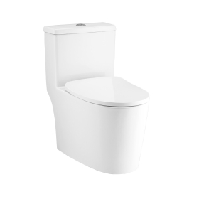 C11003HOS(WYNN) Bồn cầu Cotto 1 khối nắp êm dòng sản phẩm Wynn